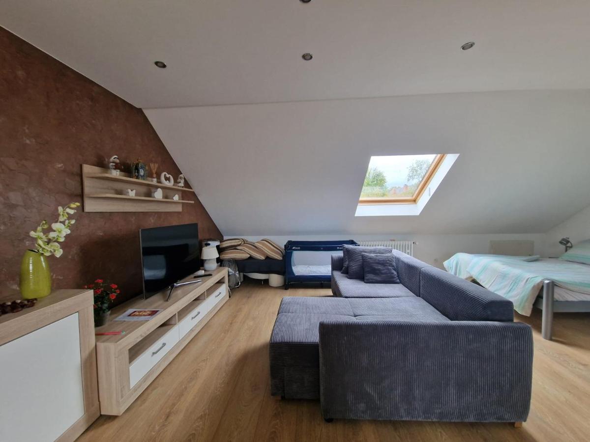 Cheerful Roof Flat In A Private German Style House Apartment Mannheim Exterior photo